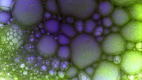 Molecular connections, structures. Organic metamorphose, background with bubbles Stock Footage 122040689