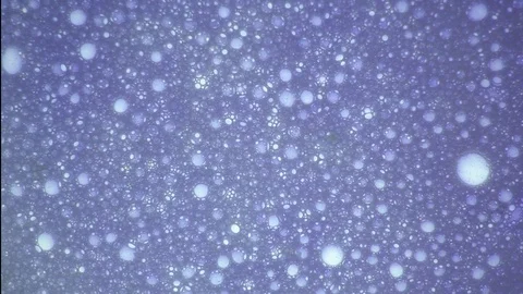 Molecular connections, structures. Organic metamorphose, background with bubbles Stock Footage 122040691