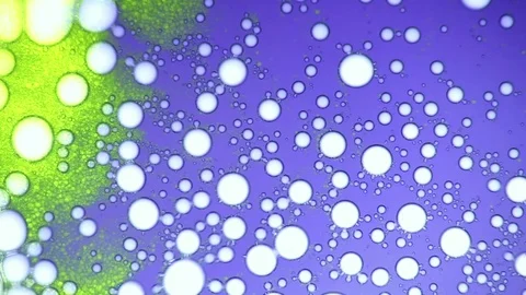 Molecular connections, structures. Organic metamorphose, background with bubbles Video stock 122059848