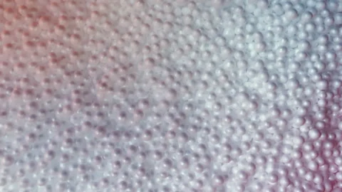 Molecular Dance of Floating Polystyrene Particles in Slow Motion Vidéo 316634949