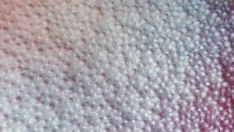 Molecular Dance of Floating Polystyrene Particles in Slow Motion Stockbeeldmateriaal 316641039