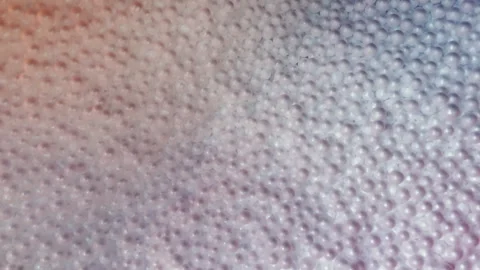 Molecular Dance of Floating Polystyrene Particles in Slow Motion Stockbeeldmateriaal 316641665