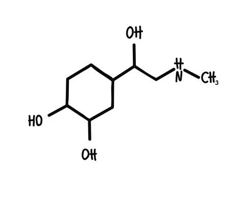 Molecular formula of adrenaline. Symbol. Vector. Stock Illustration