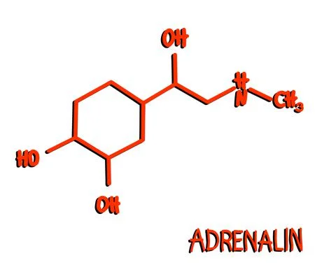 Molecular formula of adrenaline. Symbol. Vector Stock Illustration