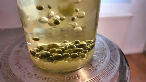 Molecular gastronomy spherification making jelly pearls 스톡 동영상 342984484