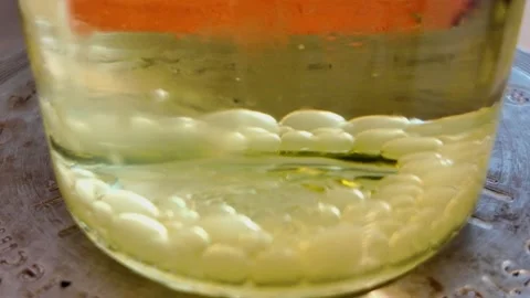 Molecular gastronomy spherification making jelly pearls Stock Footage 342984489