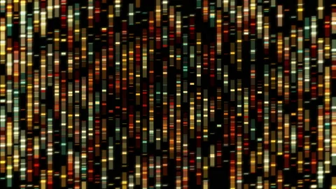 Molecular Gene Visualization Projected For Advanced Medical Diagnostic Research Vídeos de archivo 202369562