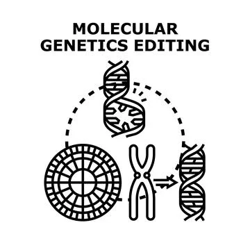 Molecular genetics editing modifying human dna strand Stock Illustration