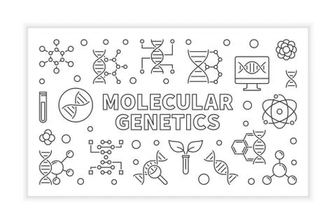 Molecular Genetics vector outline horizontal banner Illustrazione stock
