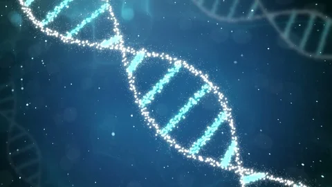 Molecular Human DNA Animation Video stock 110912422