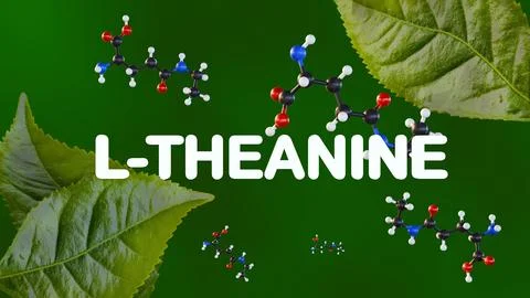 A molecular model and letters of L-Theanine alongside green tea leaves Stock Illustration
