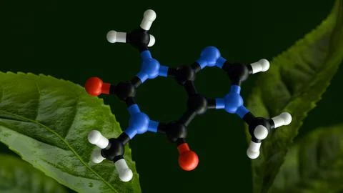 A molecular model of caffeine with tea leaves 库存插图