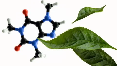 A molecular model of caffeine with tea leaves Stockillustratie