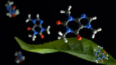 A molecular model of caffeine with tea leaves 스톡 일러스트