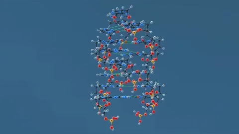 Molecular model of DNA Stock Footage 261753655