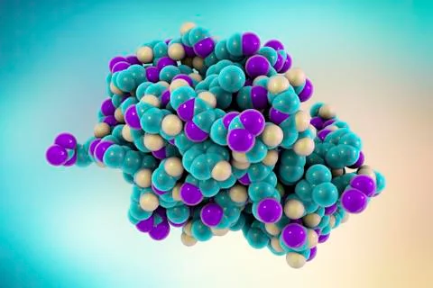 Molecular model of lysozyme protein Stock Illustration