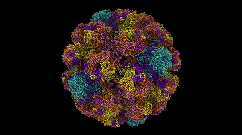 Molecular model of the papilloma virus Vidéo 64803934