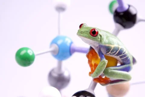 Molecular model Foto stock