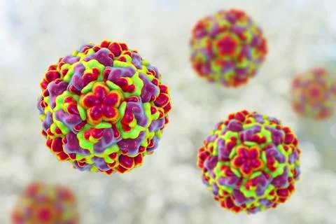 Molecular model of rhinovirus, the virus that causes common cold and rhinitis Illustrazione stock