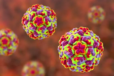 Molecular model of rhinovirus, the virus that causes common cold and rhinitis イラスト素材