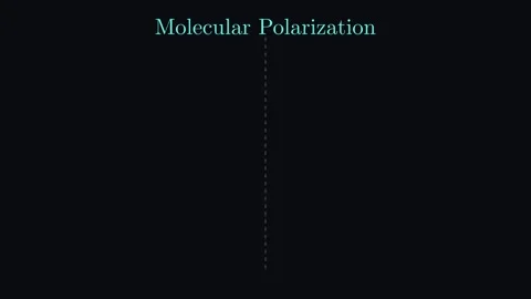 Molecular Polarization 動画素材 337755841