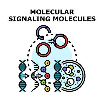 Molecular signaling molecules in cell communication research Stock Illustration