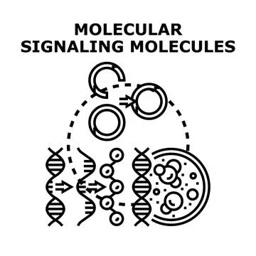 Molecular signaling molecules in cell communication research Stock Illustration