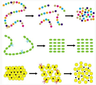 Molecular simplification of simple nutrients: proteins, starch, and lipids. Illustrazione stock