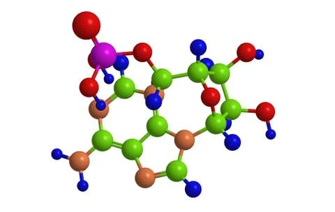 Molecular structure of Adenosine monophosphate (adenylic acid, vitamin B8) Stock Illustration