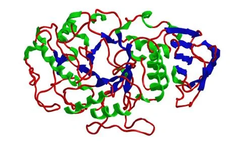 Molecular structure of alpha amylase - protein enzyme that hydrolyses alpha b Ilustración de archivo