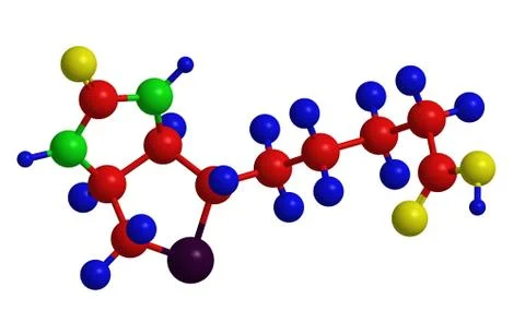 Molecular structure of biotin (so called vitamin B7, vitamin H or coenzyme R) Stock Illustration