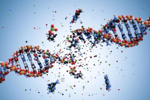 Molecular structure of DNA. 3D rendering. Stock Illustration