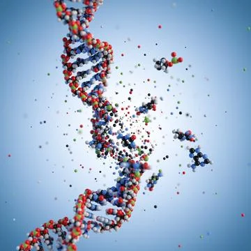 Molecular structure of DNA. 3D rendering. Stock Illustration