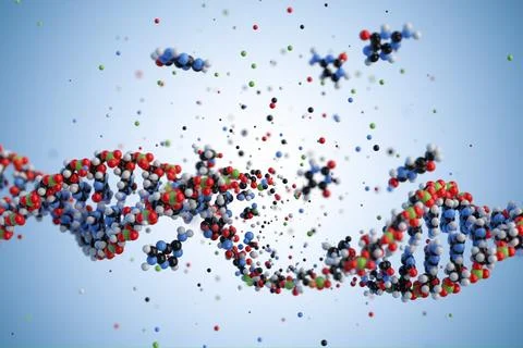 Molecular structure of DNA. 3D rendering. Stock Illustration