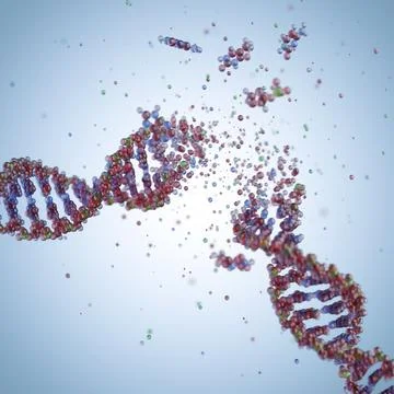 Molecular structure of DNA. 3D rendering. Stock Illustration