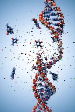 Molecular structure of DNA. 3D rendering. Stock Illustration