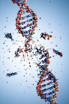 Molecular structure of DNA. 3D rendering. Stock Illustration