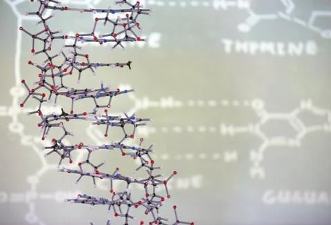 Molecular structure in front of data on projection screen in classroom Stock Photos