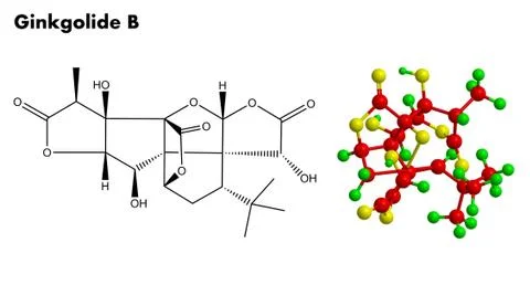 Molecular structure of Ginkgolide B - essential compound extracted from the r Stock Illustration