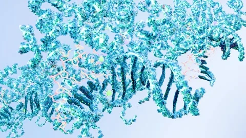 Molecular structure of human antigen protein p53 complexed with DNA Stock Footage 304415992