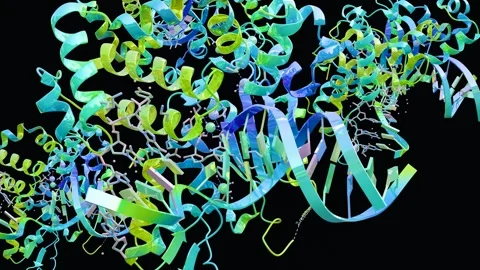 Molecular structure of human antigen protein p53 complexed with DNA Video stock 304416346