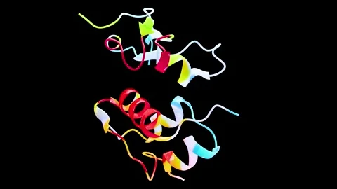 Molecular structure of human Insulin like growth factors, biochemistry Stock Footage 304416472