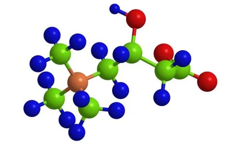 Molecular structure of L-carnitine (so called vitamin B20) Stock Illustration