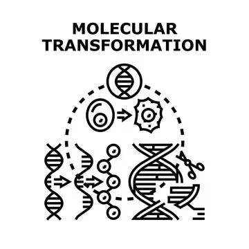Molecular transformation changing genetic structure science concept Stock Illustration