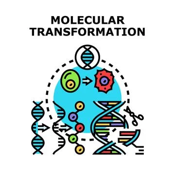 Molecular transformation changing genetic structure science concept Stock Illustration