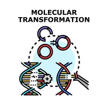 Molecular transformation concept with genetic engineering process Illustrazione stock