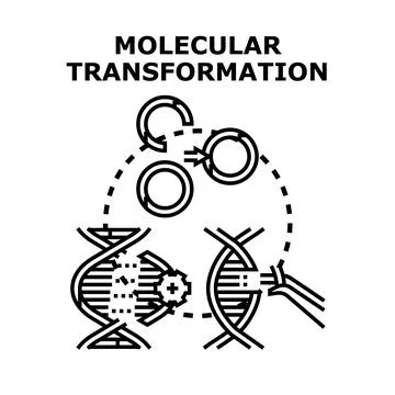Molecular transformation concept with genetic engineering process 库存插图