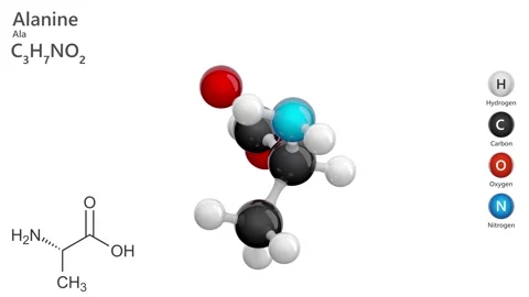Molecule of Alanine C3H7NO2. Model: Ball and Stick. White back. 3D render Stock Footage 287827342