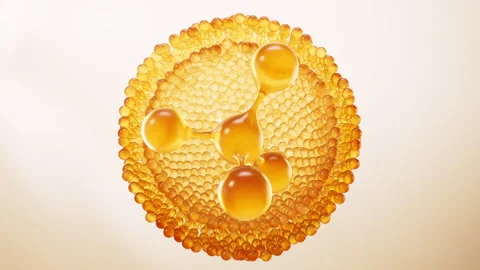 Molecule and transparent golden bilayer membrane structure, 3d rendering. Stock Footage 330483352