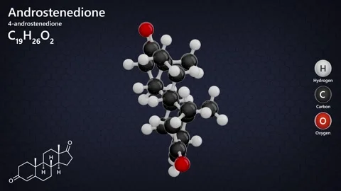 Molecule of Androstenedione (C19H26O2). Dark back. 3d render Stock Footage 287597961